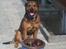 Blanding af racer Neela RIP??