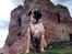 Bullmastiff Raya (Bullgrin's 'N Librrani No Mercy)