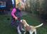 Beagle **Modi** - Modi og min niece