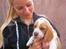 Beagle **Modi** - Modi og mig