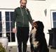 Berner sennenhund bocjo
