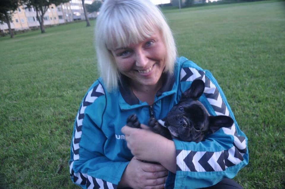 Fransk bulldog Lui Aimée gorgeous Kenya billede 2