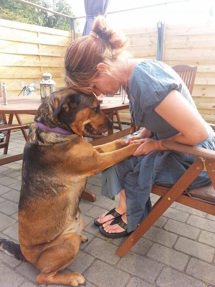 Blanding af racer Neela RIP?? billede 8