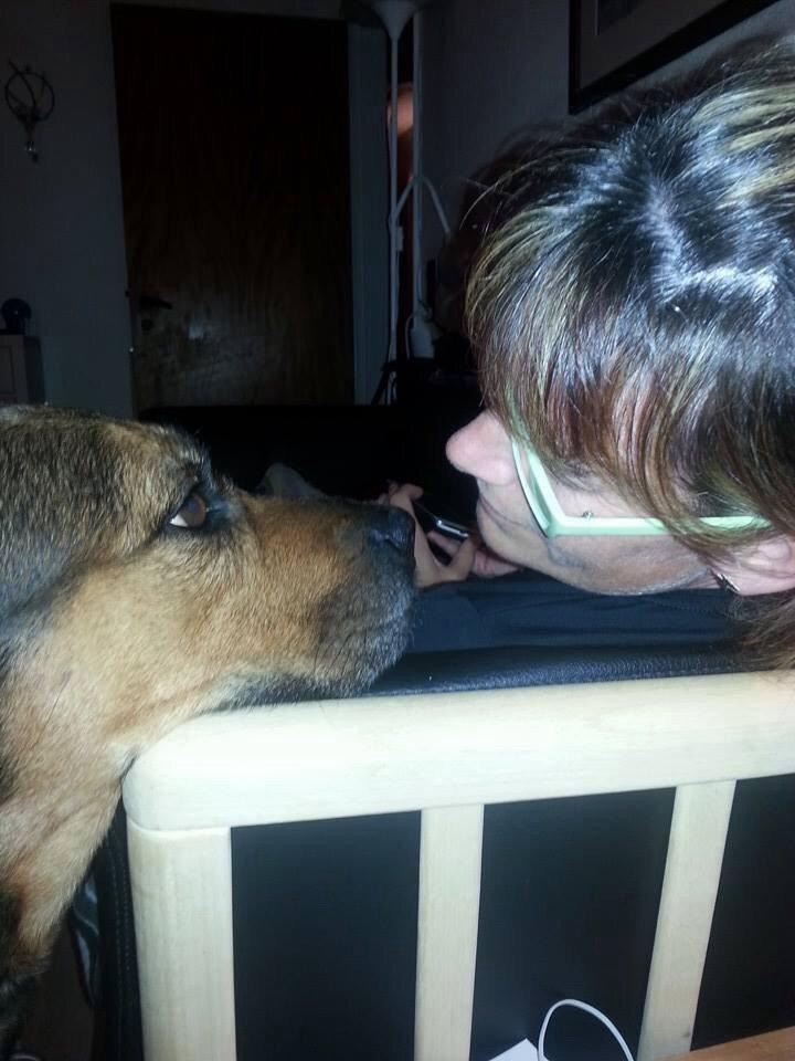 Blanding af racer Neela RIP?? billede 7