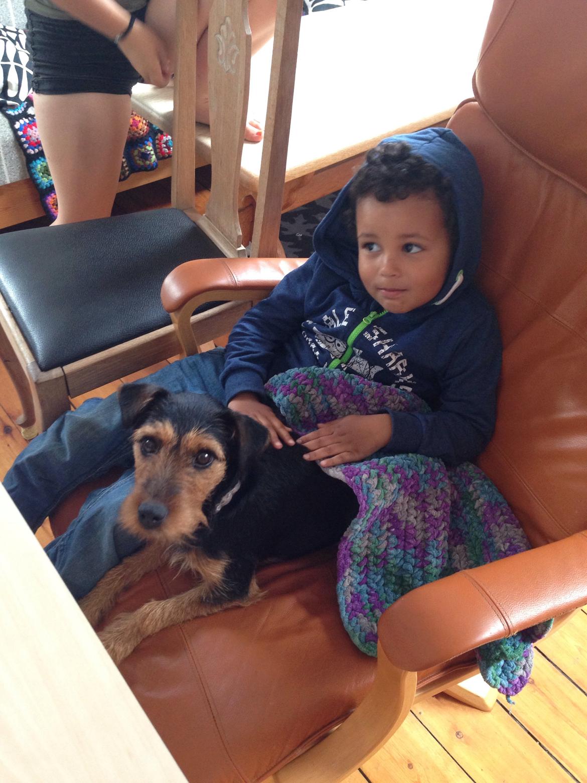 Tysk jagtterrier Emma billede 9