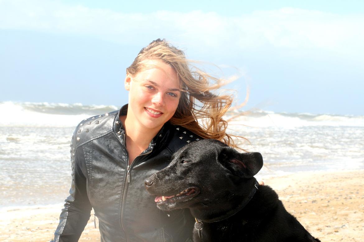 Labrador retriever Zorro billede 9