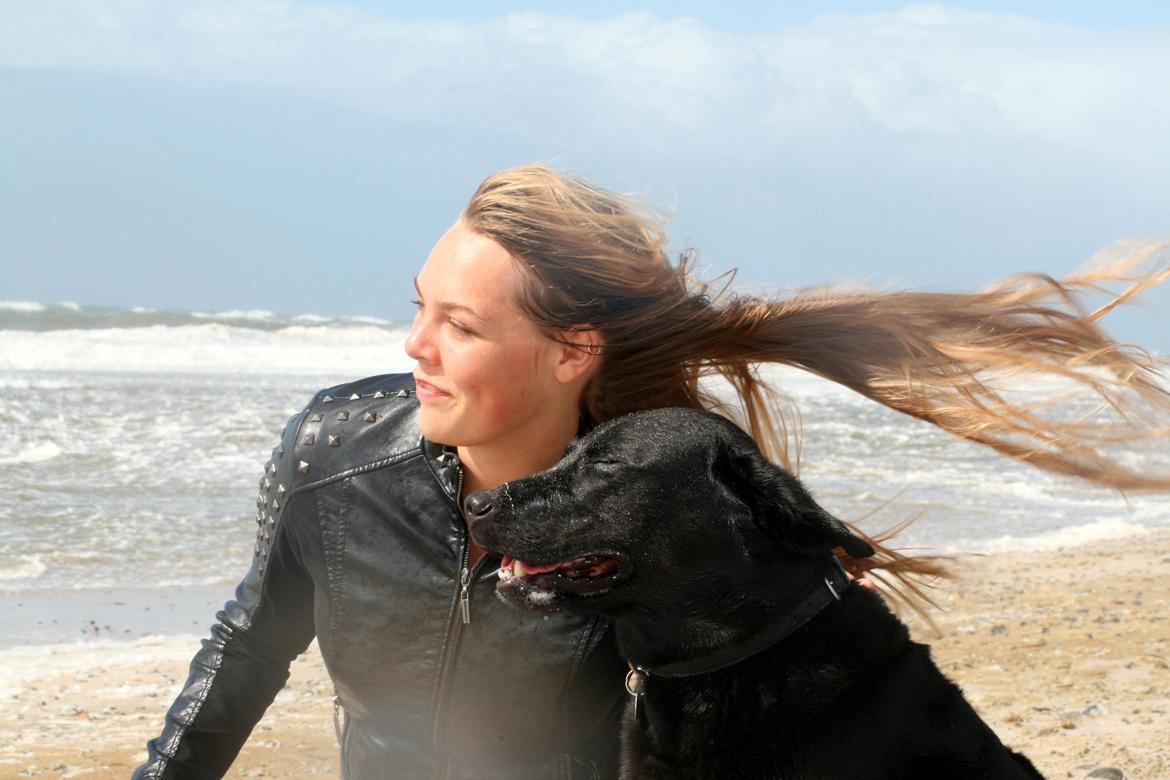 Labrador retriever Zorro billede 23