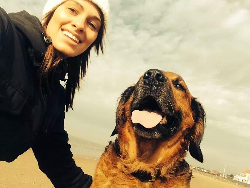 Blanding af racer Pumba billede 20