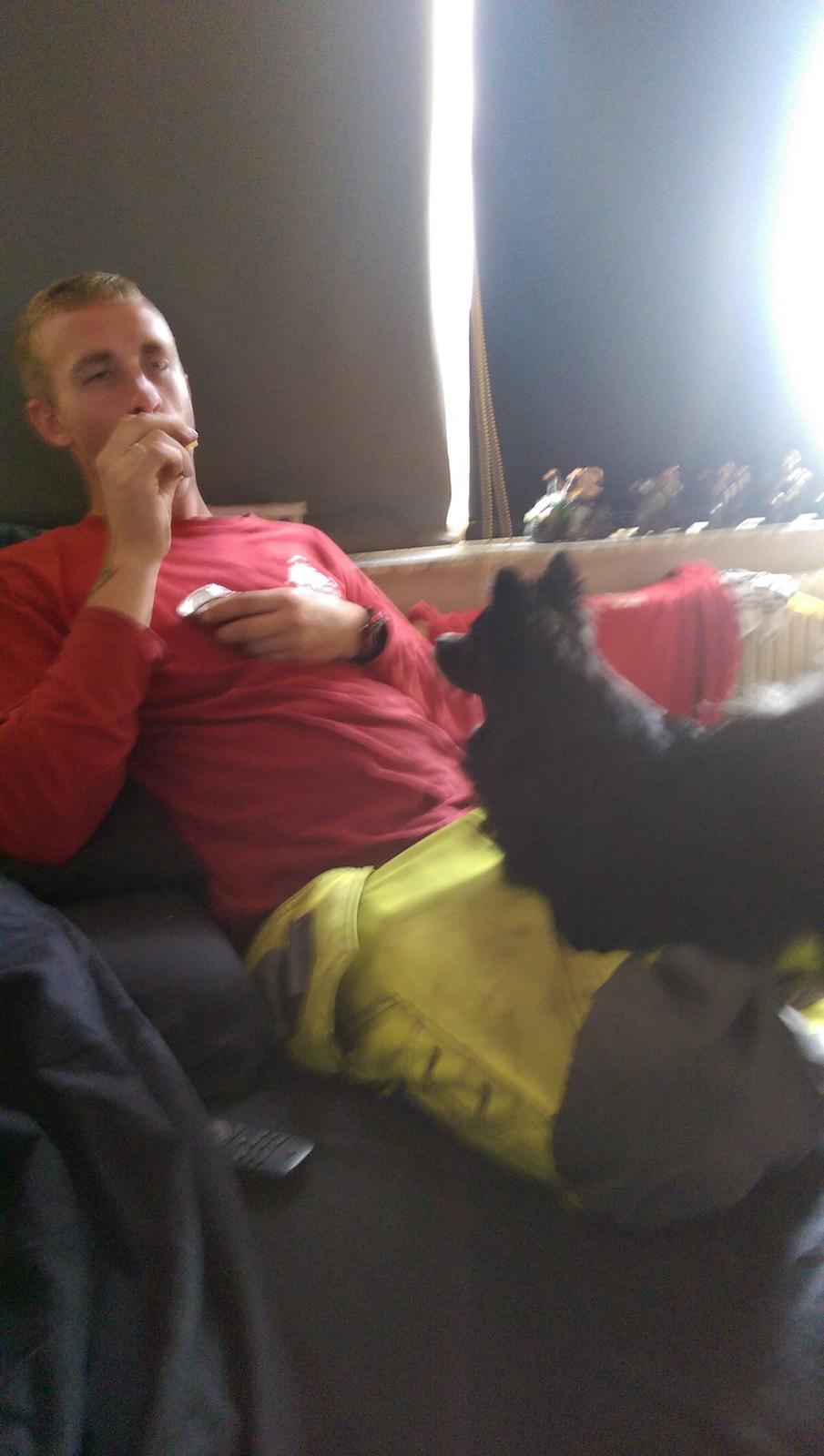 Blanding af racer Lille billede 13