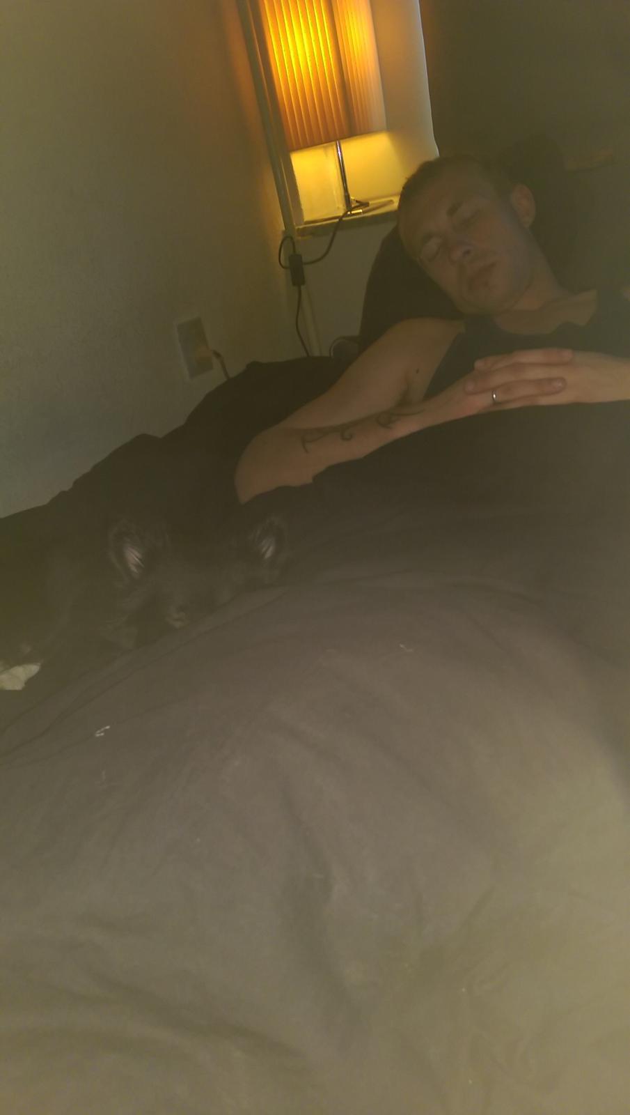 Blanding af racer Lille billede 14