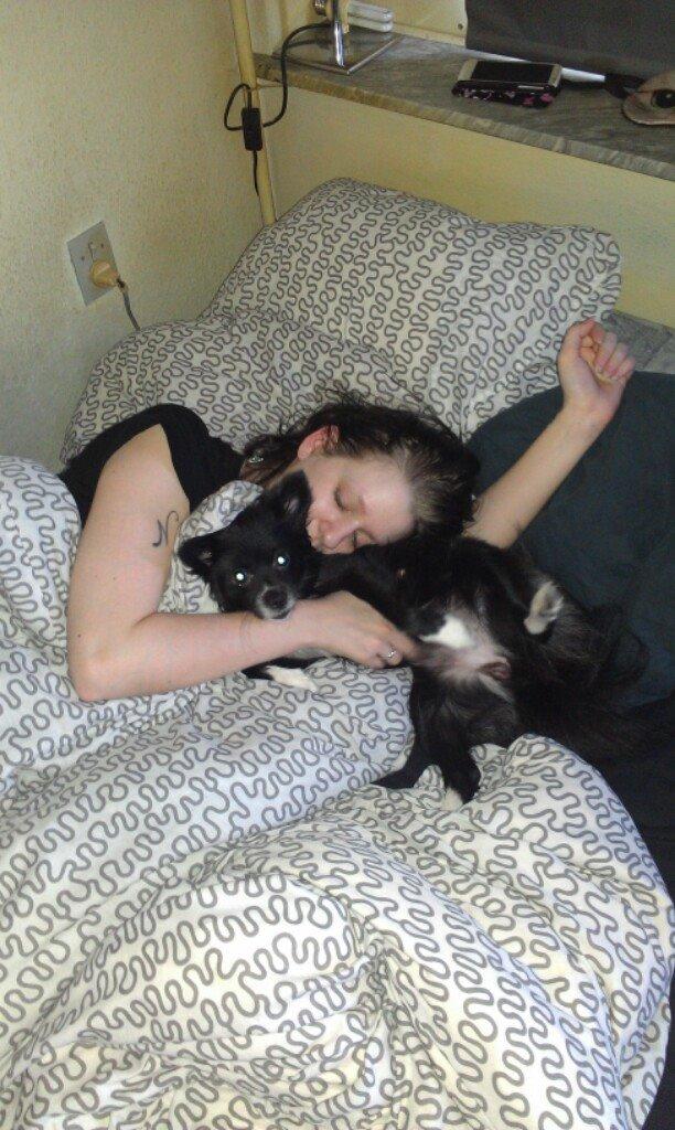 Blanding af racer Lille billede 17