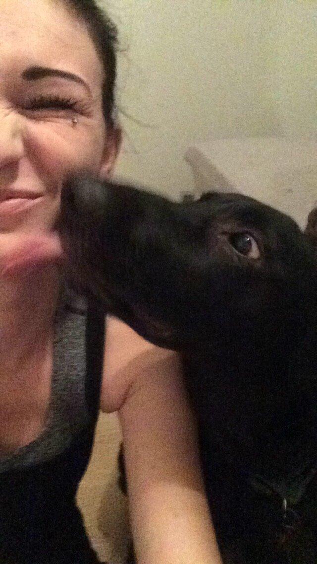 Blanding af racer Freya billede 33