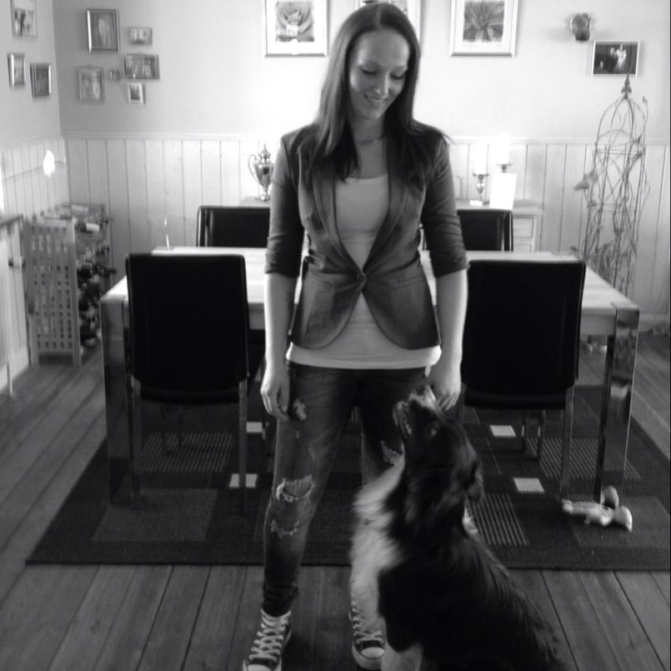 Australian shepherd Bosco billede 25