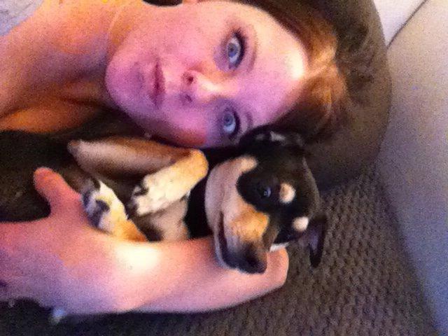 Dvaergpinscher Sara billede 13