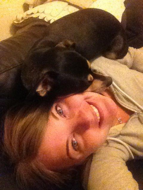 Dvaergpinscher Sara billede 21