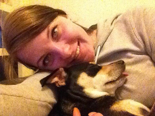 Dvaergpinscher Sara billede 22