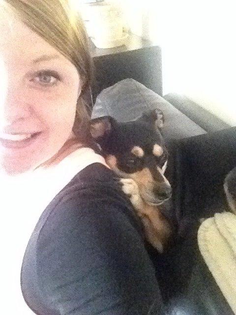 Dvaergpinscher Sara billede 32