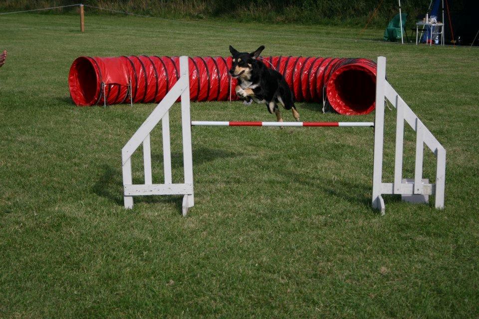 Blanding af racer Coda billede 22