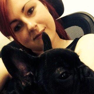 Fransk bulldog Bob  billede 16