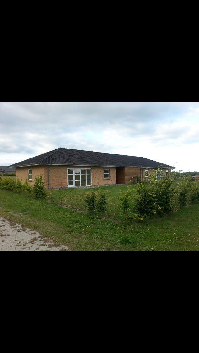 Shih tzu Tinka - der tinka og min mor lii flyttet ind tinka hygger sig i sin store nye have :D billede 45