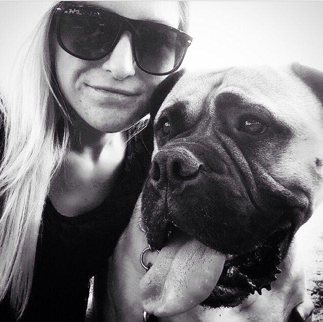 Bullmastiff Raya (Bullgrin's 'N Librrani No Mercy) billede 32