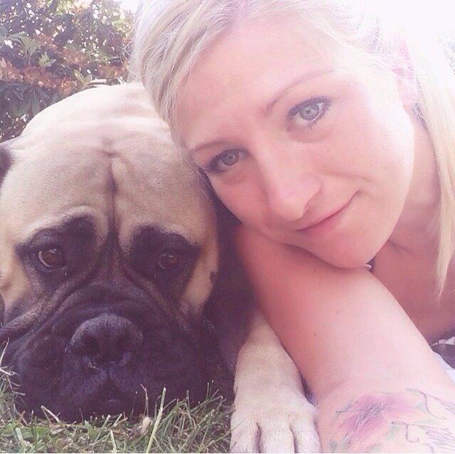 Bullmastiff Raya (Bullgrin's 'N Librrani No Mercy) billede 35