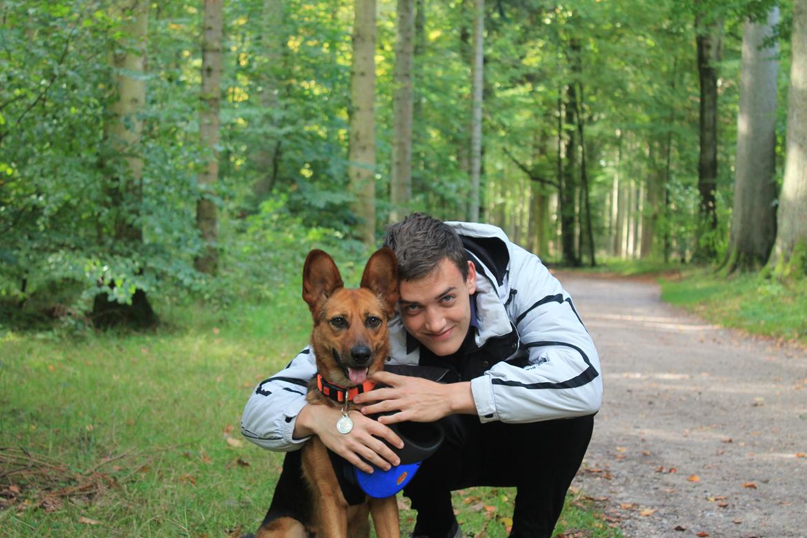 Blanding af racer Foxy - Mathias og Foxy billede 6