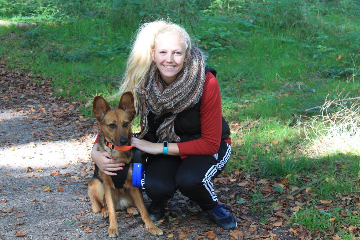 Blanding af racer Foxy billede 7