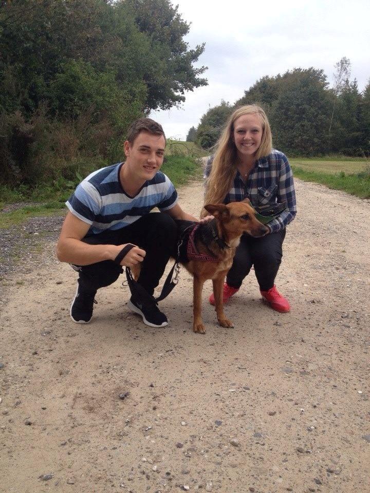 Blanding af racer Foxy - Da vi tog ud for at se på Foxy, og bestemte os for at adoptere hende :) billede 10