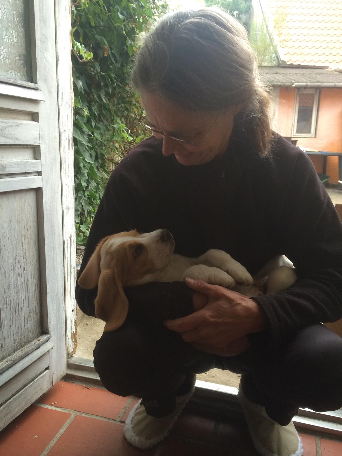 Beagle **Modi** - Min mor og Modi billede 21