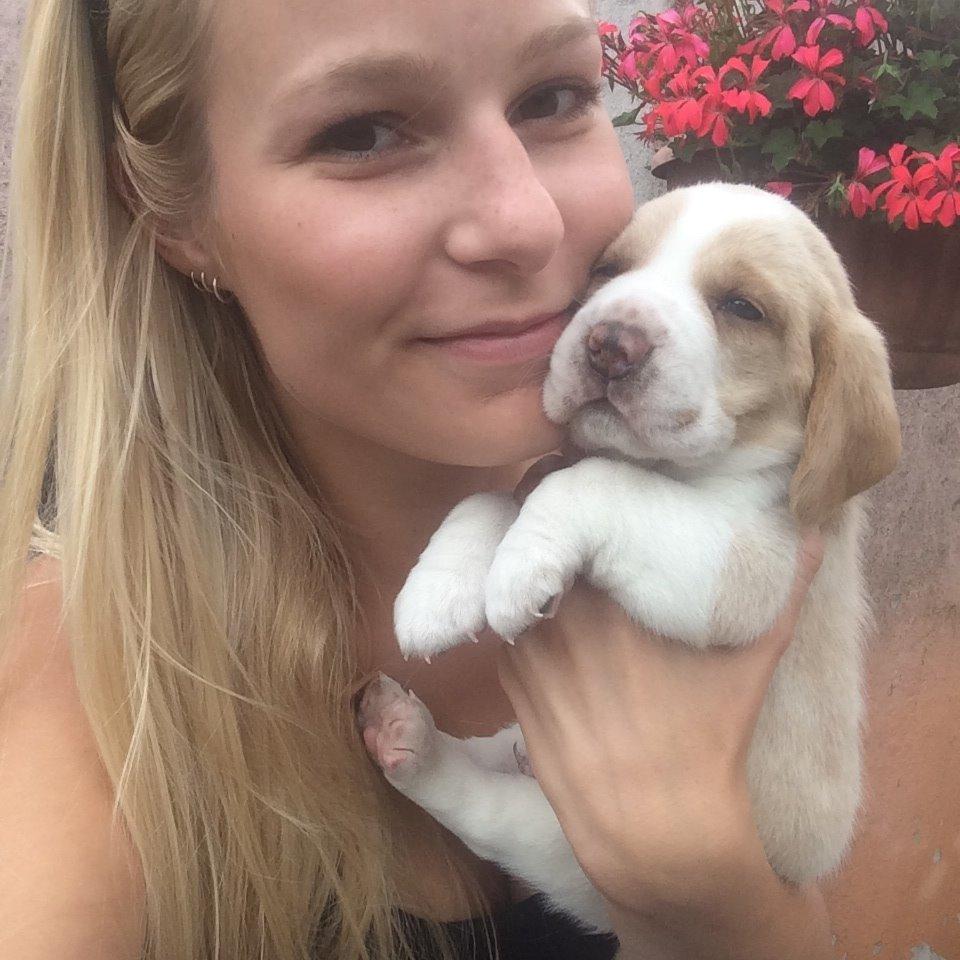 Beagle **Modi** - Modi <3 billede 31