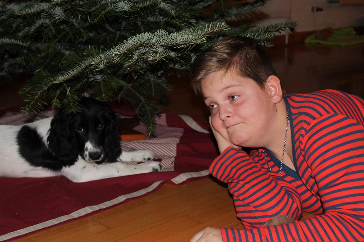 Blanding af racer Pluto billede 8