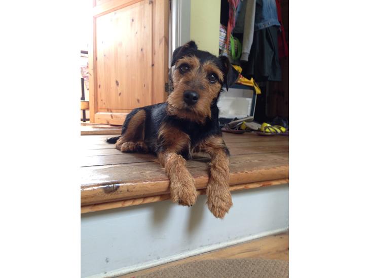 {{currentPhoto.altText}} billede {{currentPhoto.number}}