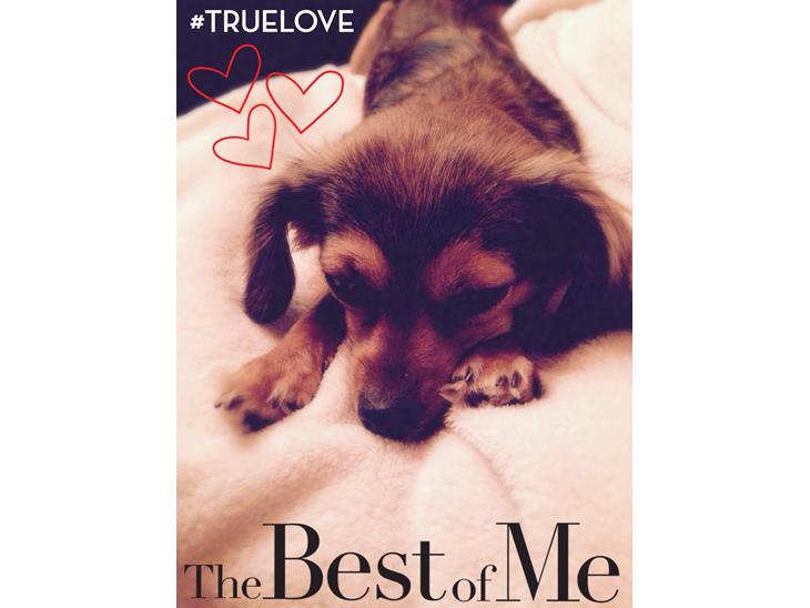 Blanding af racer Luna billede 1