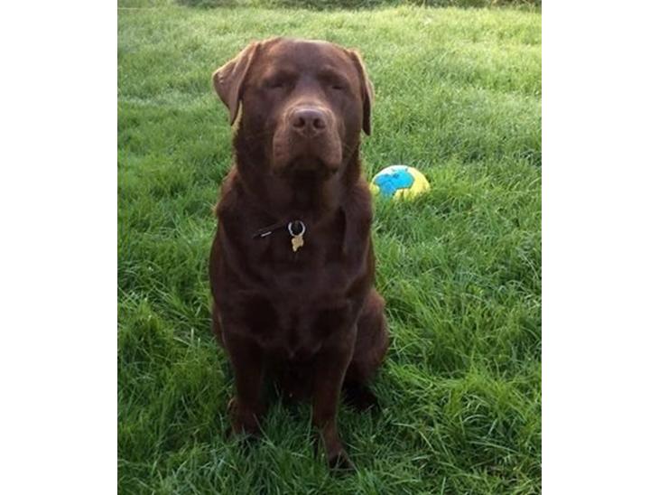 {{currentPhoto.altText}} billede {{currentPhoto.number}}