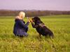 Rottweiler Fafner<3 |Faffe'laffe|<3 [ Himmelhund]