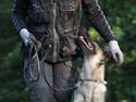 Schæferhund Team Otkjær's Dea(Kiki)