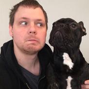 Fransk bulldog Storm