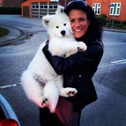 Samojedhund Eya