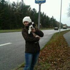 Blanding af racer Twister