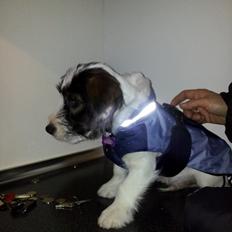 Blanding af racer Twister