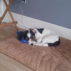 Blanding af racer Twister