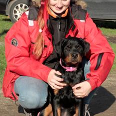 Rottweiler Haiki's Dusk to Dawn