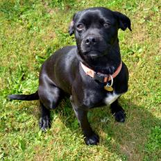 Blanding af racer Malou