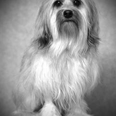 Løwchen Malthe R.I.P 20. november 2016