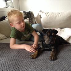 Blanding af racer Honey