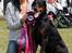 Dobermann Destiny´s Phoenix In The Spotlight aka Bentley
