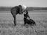 Rottweiler Fafner<3 |Faffe'laffe|<3 - 8/11/2014