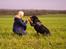 Rottweiler Fafner<3 |Faffe'laffe|<3 - 8/11/2014