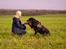 Rottweiler Fafner<3 |Faffe'laffe|<3 - 8/11/2014